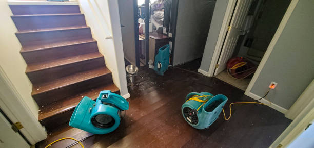 Best Flood damage cleanup  in Ponderosa Park, CO