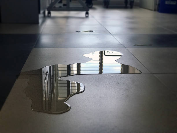 Professional Water damage restoration in CO