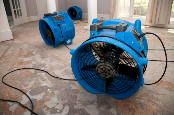 Best 24-hour water damage restoration  in Ponderosa Park, CO