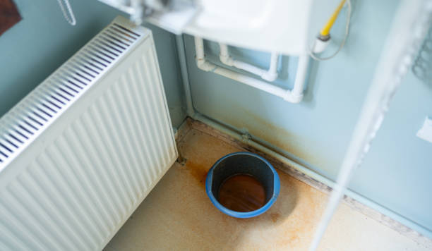 Best Commercial water damage restoration  in Ponderosa Park, CO