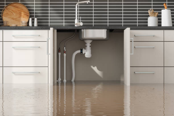 Best Water damage restoration near me  in Ponderosa Park, CO