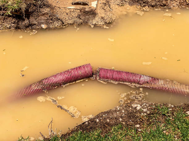 Best Sewage cleanup and water damage restoration  in Ponderosa Park, CO
